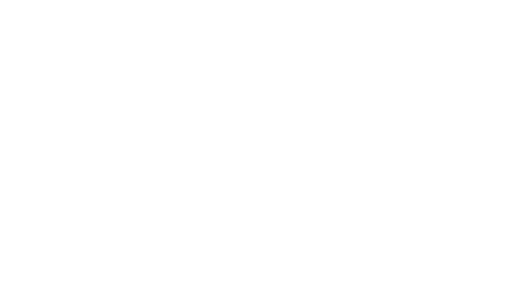 White Logo for Alvas Bikes Australia