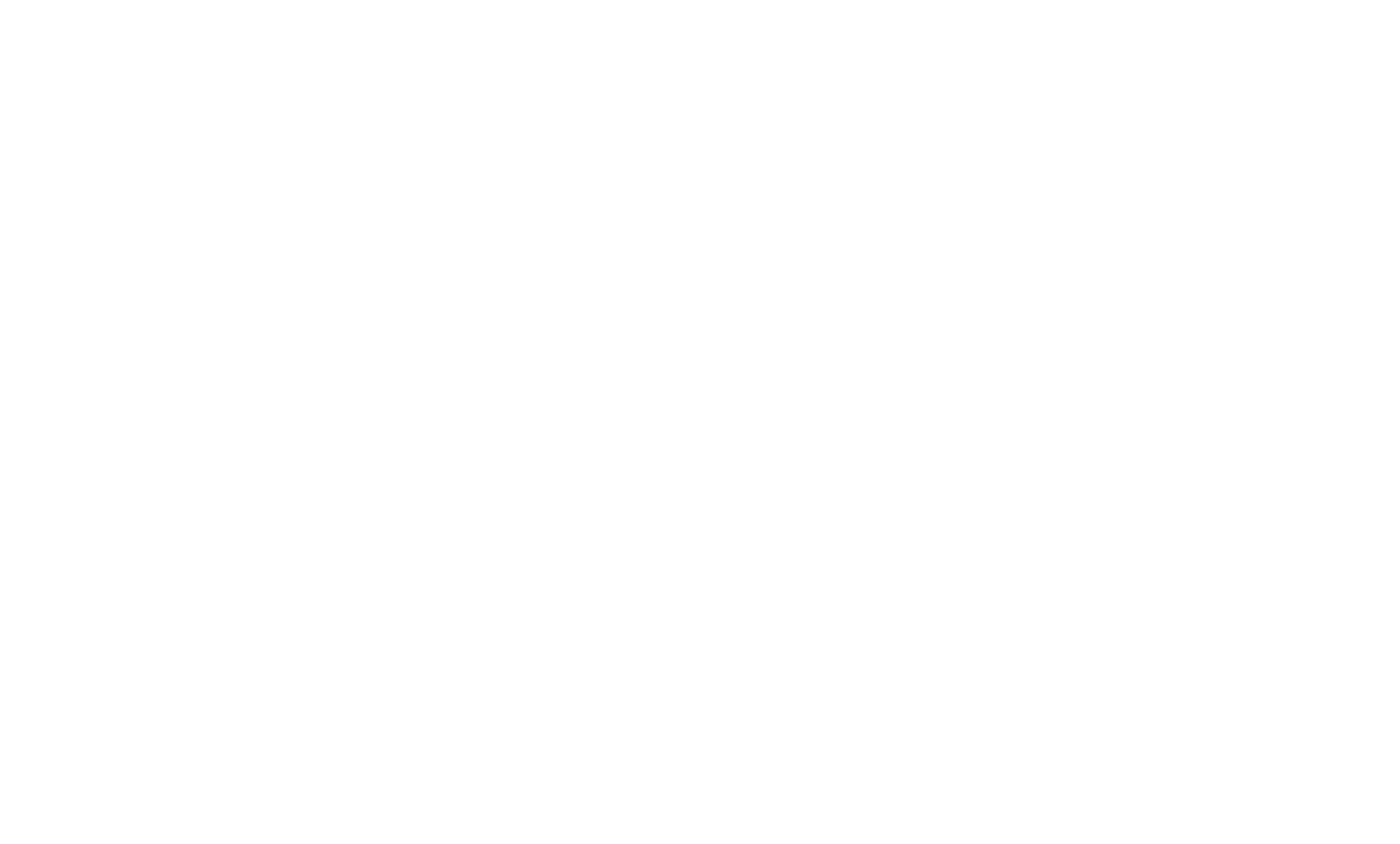 White Logo for Alvas Bikes Australia